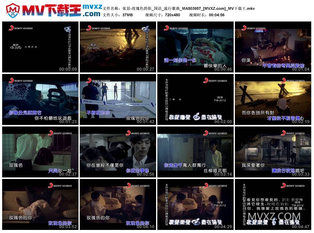 张悬-玫瑰色的你_国语_流行歌曲_MA503957